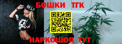 spice Новозыбков