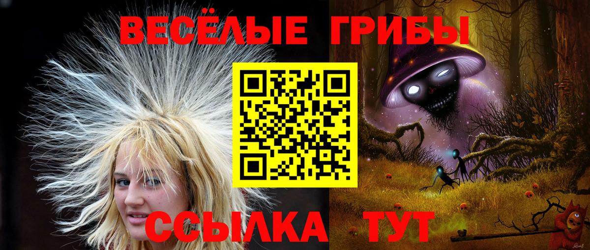 Урус-Мартан  Галлюциногенные грибы мицелий  Вход с VPN  Галлюциногенные грибы Psilocybe 